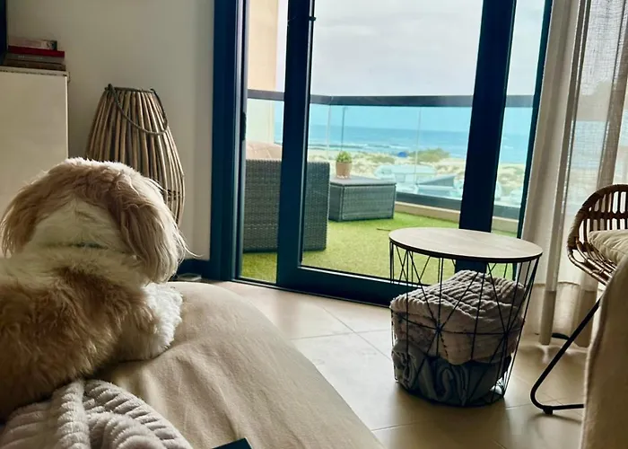 Bruno Con Vistas Al Mar, Primera Linea De Playa Lägenhet *